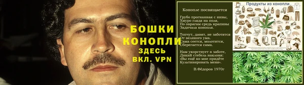 молекула духа Аркадак
