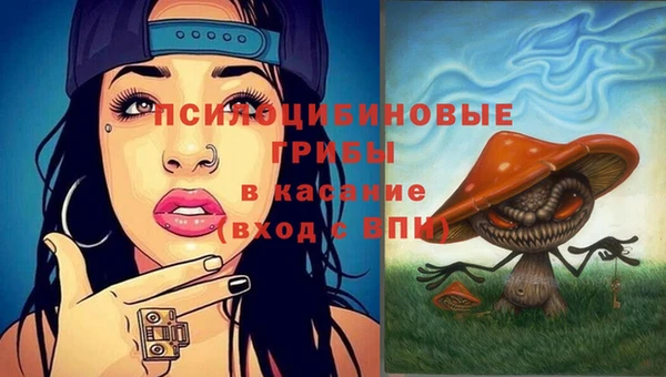 молекула духа Аркадак