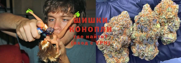дмт Арсеньев