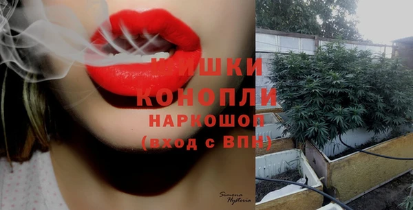 дмт Арсеньев