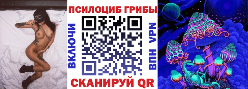 купить сайты Шахты Псилоцибиновые грибы GOLDEN TEACHER