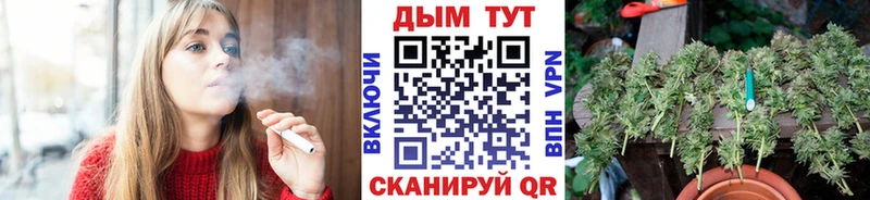 Шишки марихуана планчик  Шахты 
